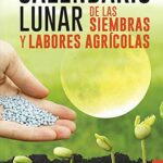 libros recomendados 2024