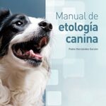 libros recomendados 2024