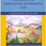 libros recomendados 2024