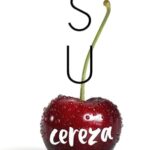 libros novela romantica