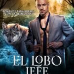 libros novela romantica