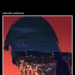 libros de javier castillo