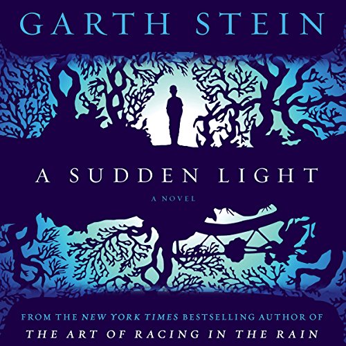 A Sudden Light: A Novel